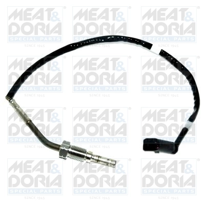 Sensor, exhaust gas temperature